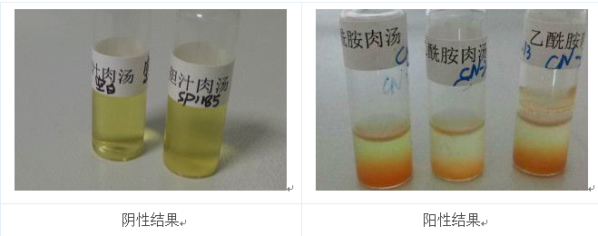 將產(chǎn)熒光的菌落的純培養(yǎng)物接種到乙酰胺肉湯中36℃培養(yǎng)24h，加入鈉氏試劑