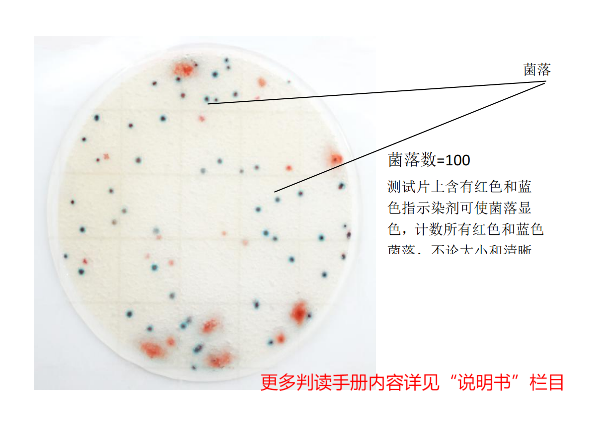 快速菌落總數(shù)測(cè)試片判讀手冊(cè)