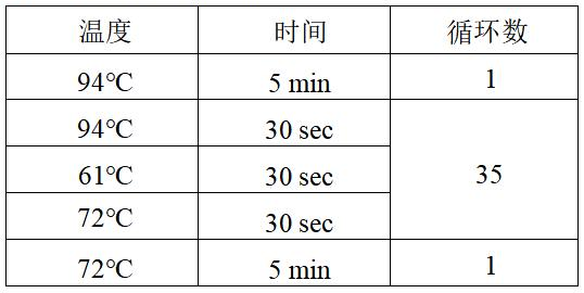 克羅諾桿菌 PCR 檢測試劑盒反應(yīng)程序