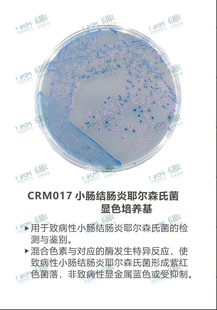 CRM017 小腸結(jié)腸炎耶爾森氏菌顯色培養(yǎng)基