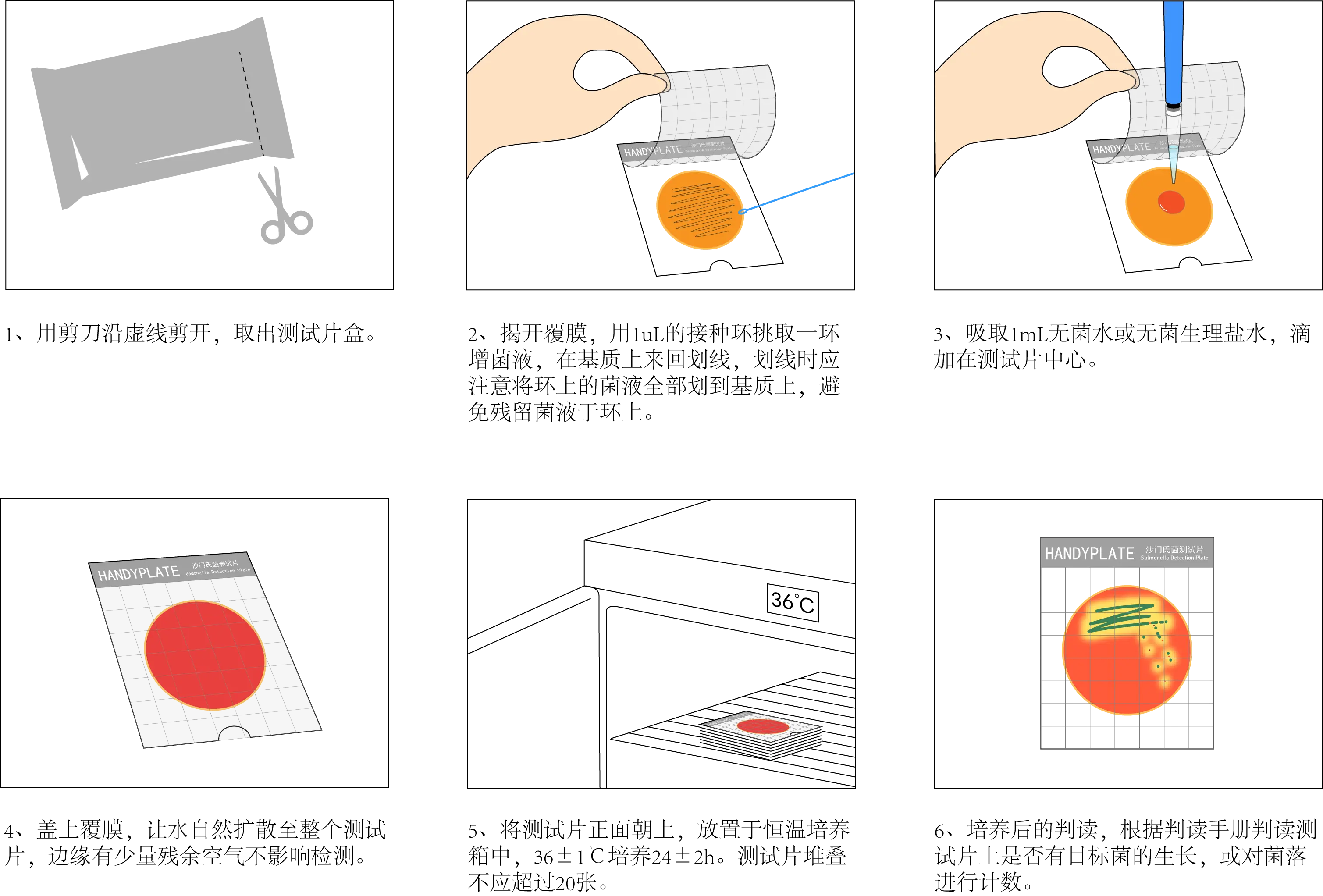 Handy plate®沙門(mén)氏菌測(cè)試片 操作圖解